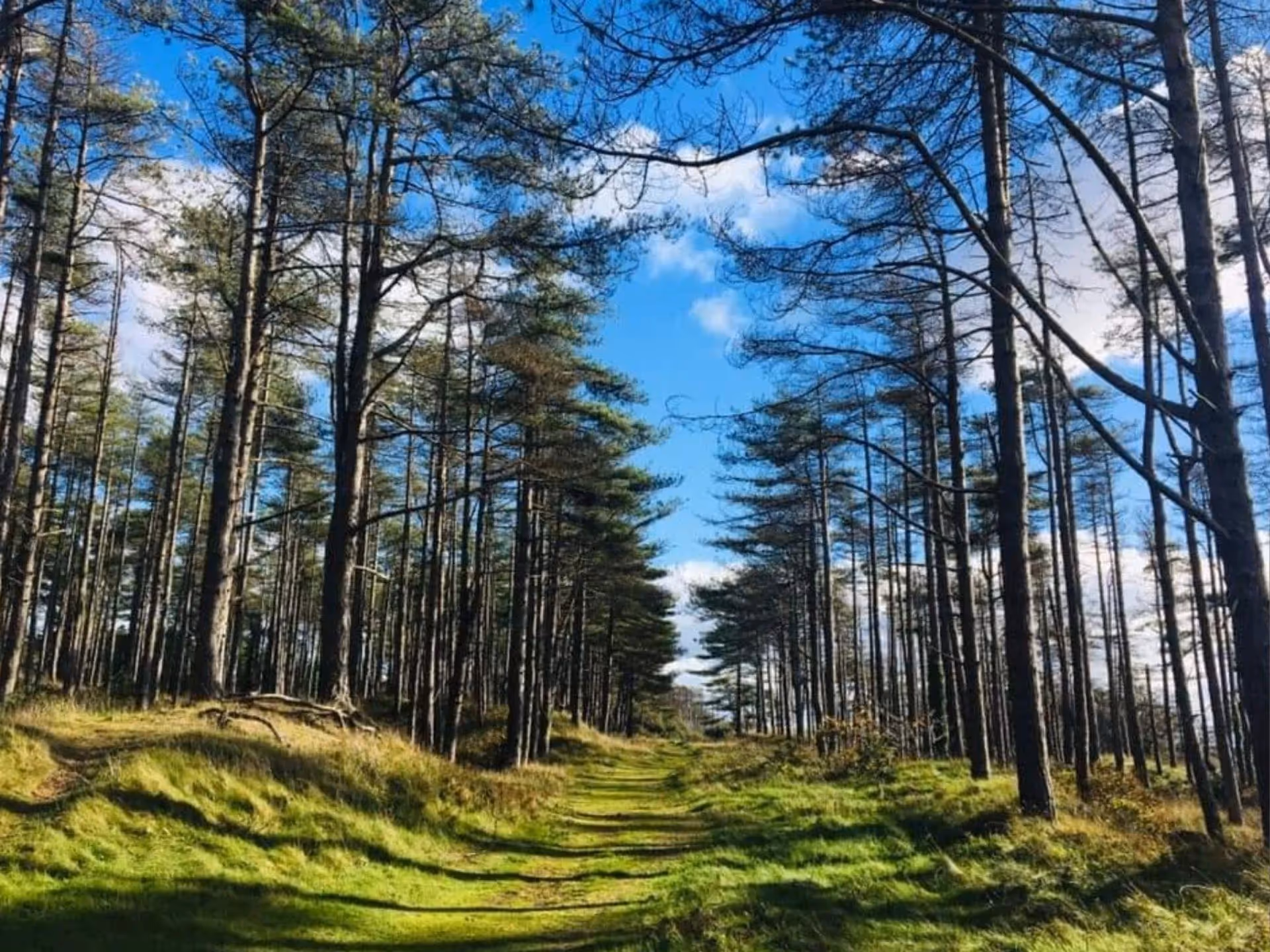 St Illtyd's Way (Llanilltud)