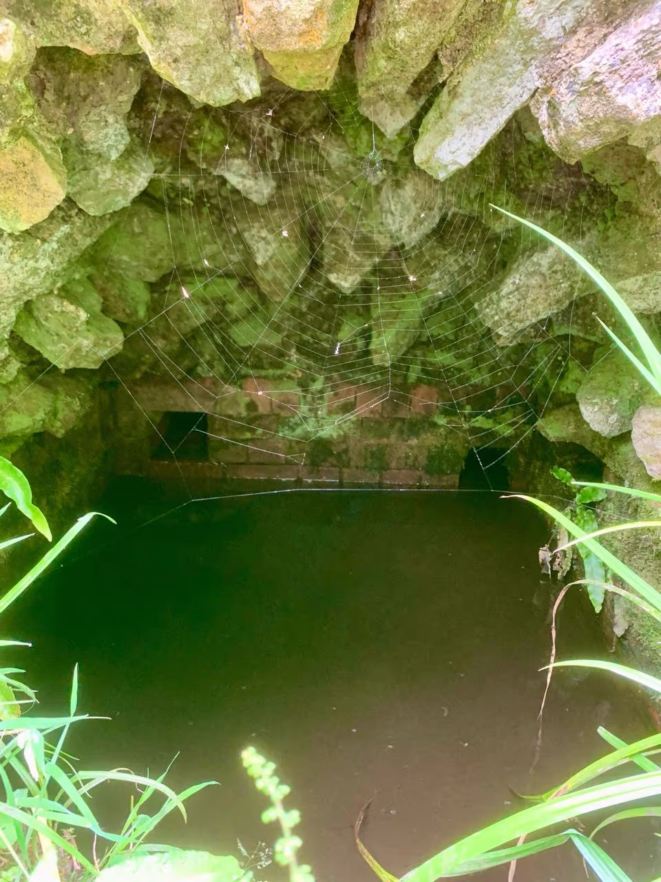 The source of the Brue River