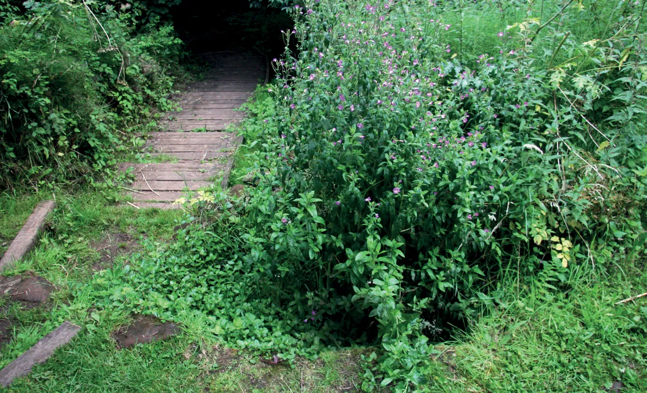 St Kenelm’s Well and Church, Romsley