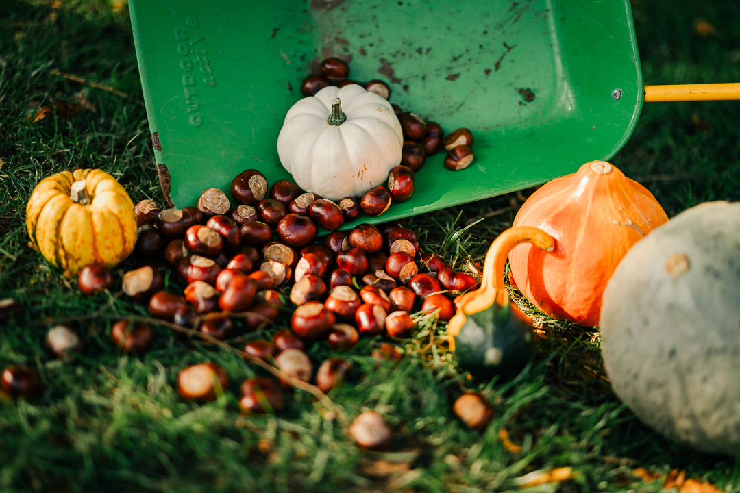 Gedanken zum Monat Oktober