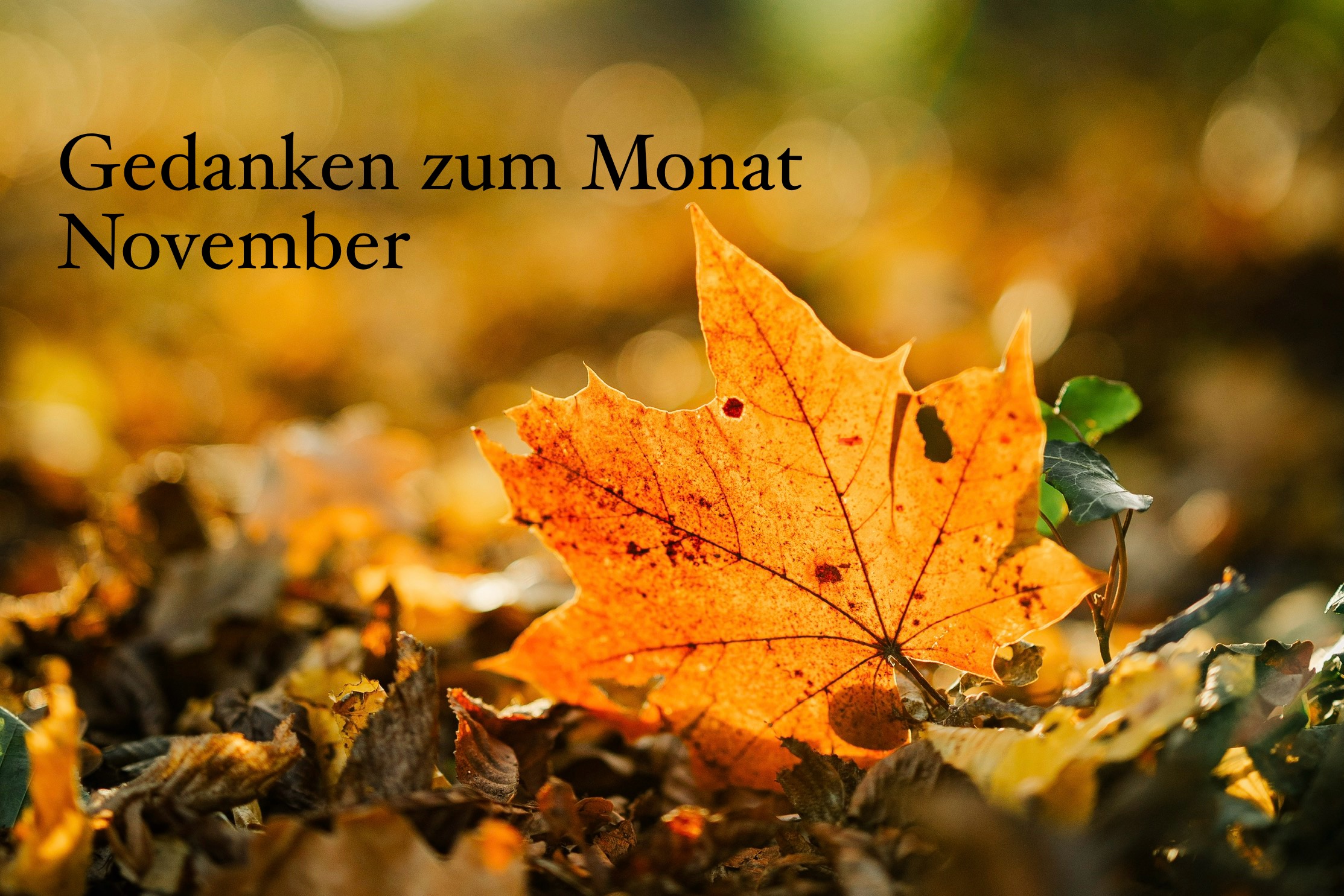 Gedanken zum Monat November