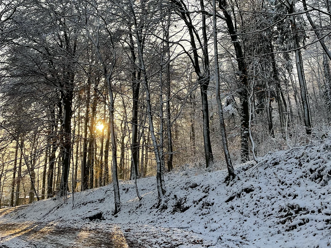 Gedanken zum Monat Dezember