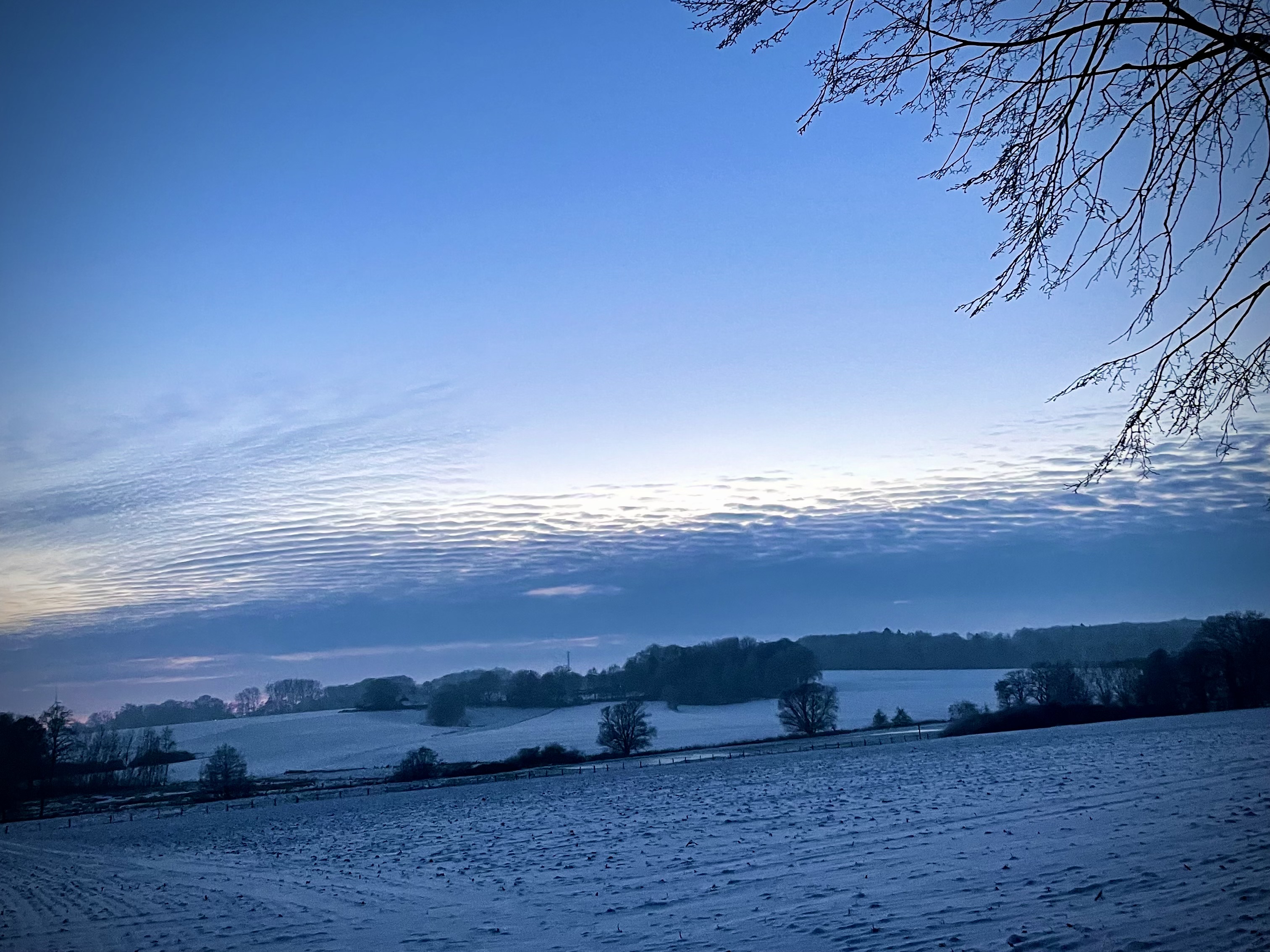 Gedanken zum Monat Februar
