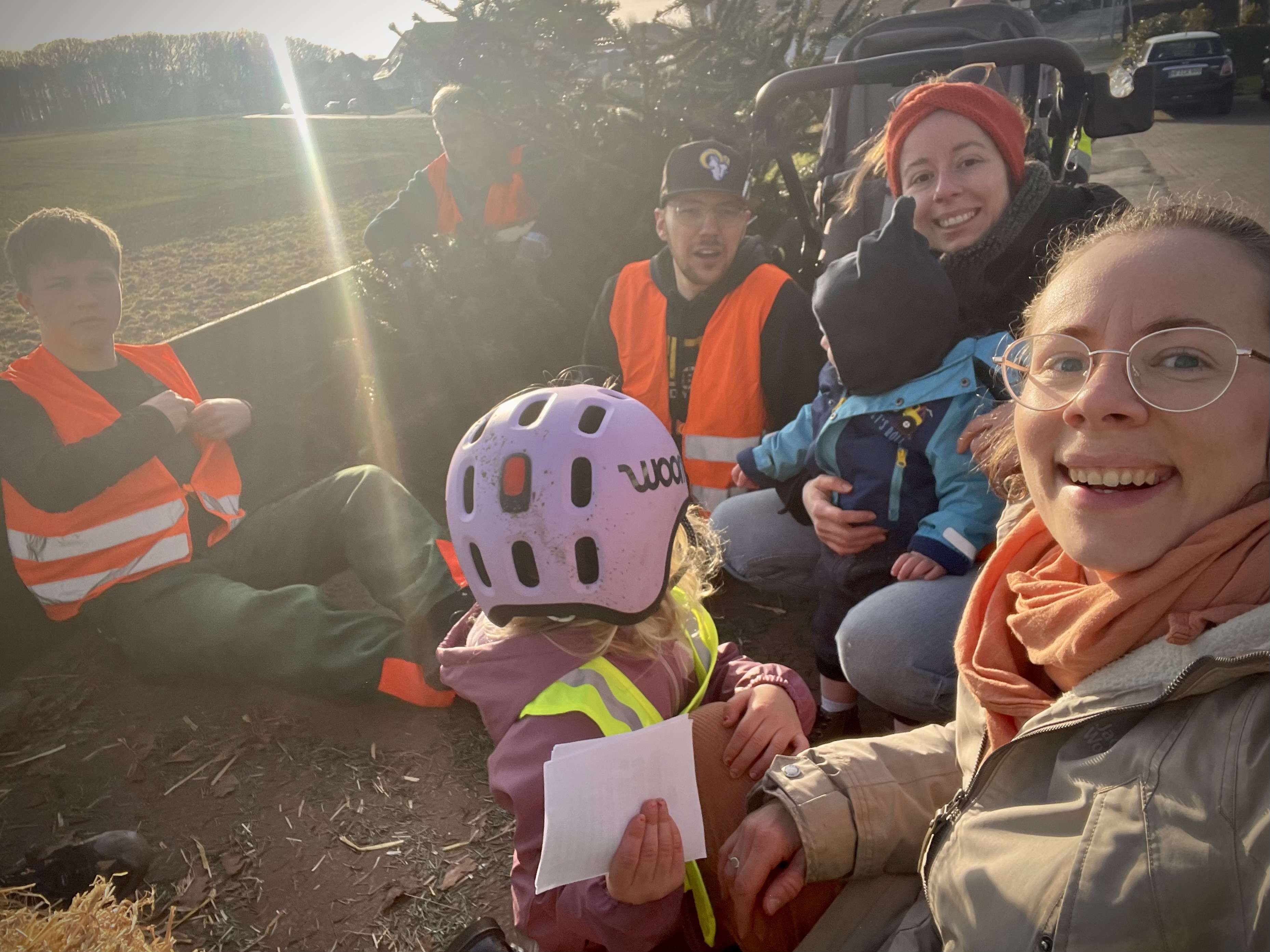 Aktion nadelnder Tannenbaum