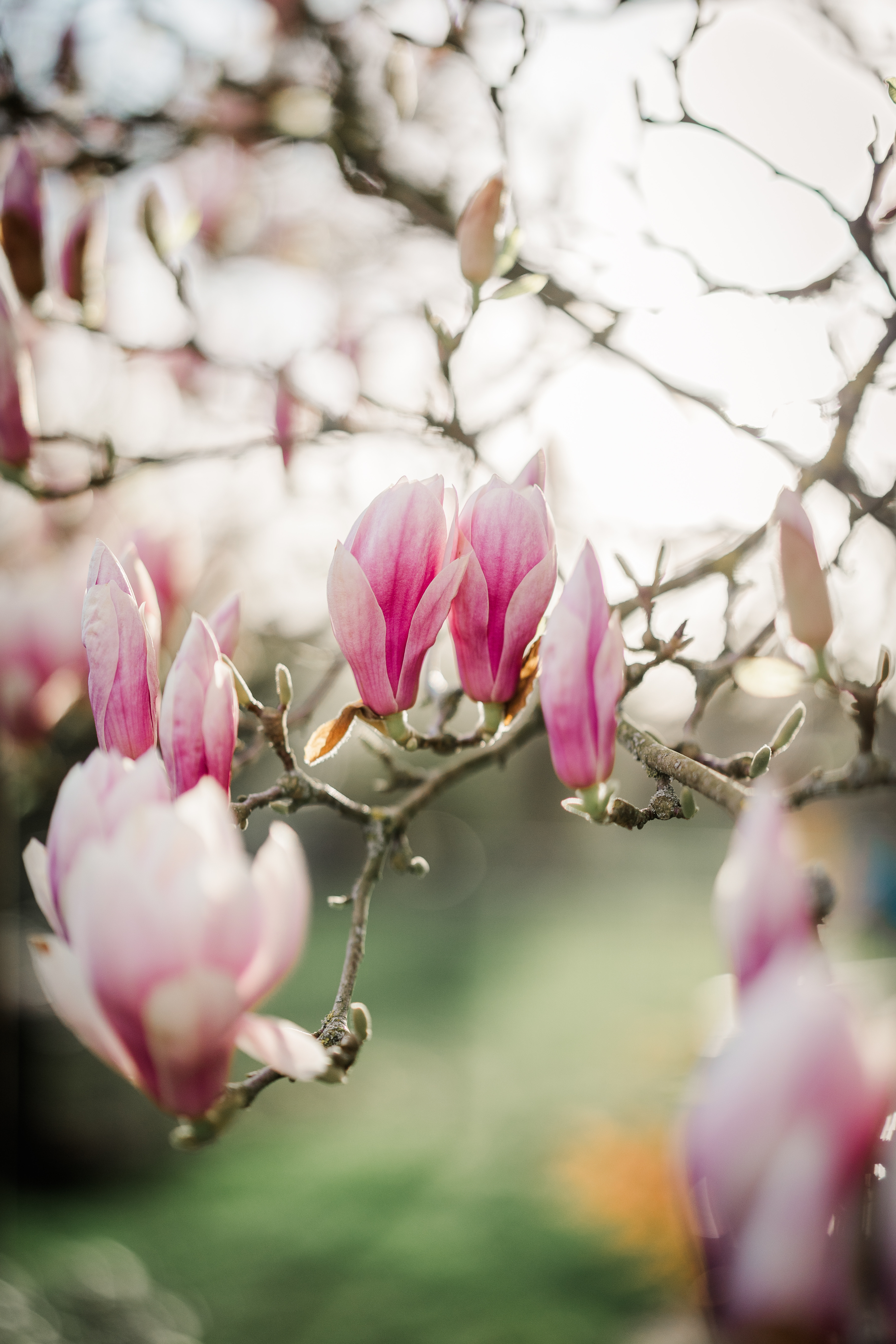 Gedanken zum Monat April