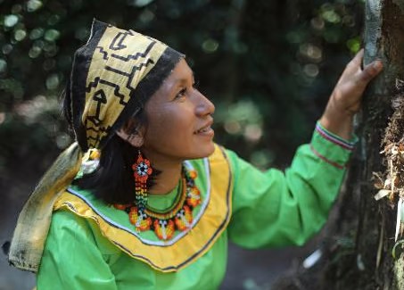 A picture of Maestra Eunice Peruvian Shipibo Medicine Woman