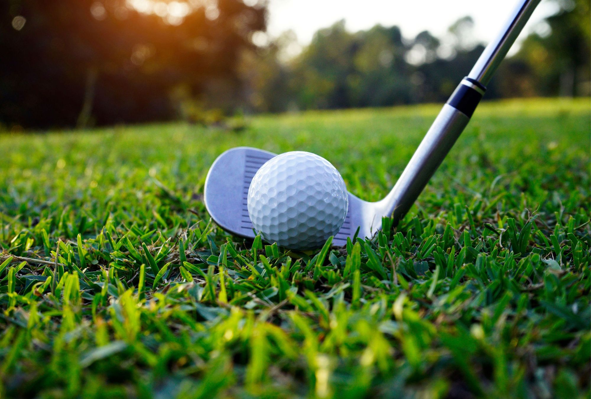 The Preserve at Smith Creek Home