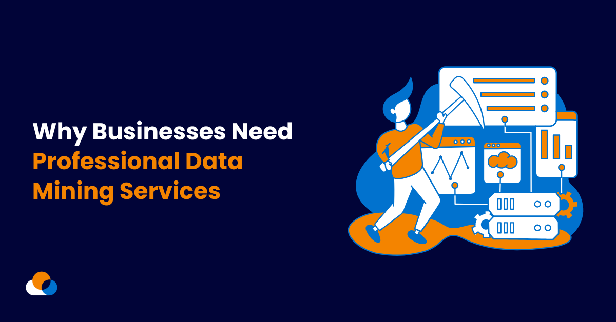 Why Businesses Need Professional Data Mining Services