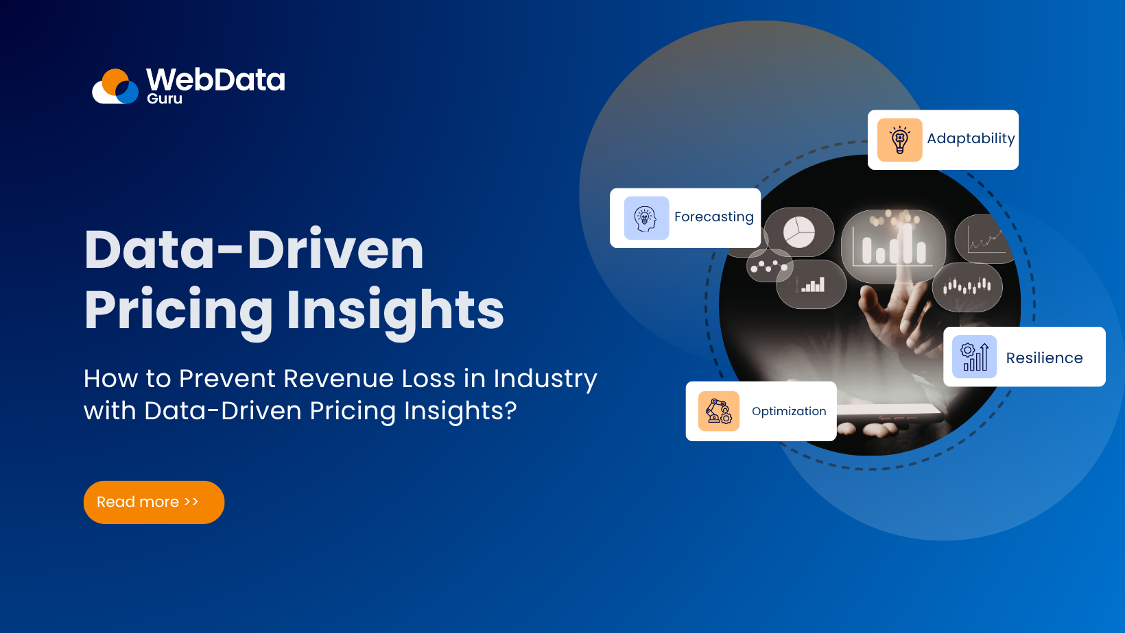 How to Prevent Revenue Loss in Industry with Data-Driven Pricing Insights?