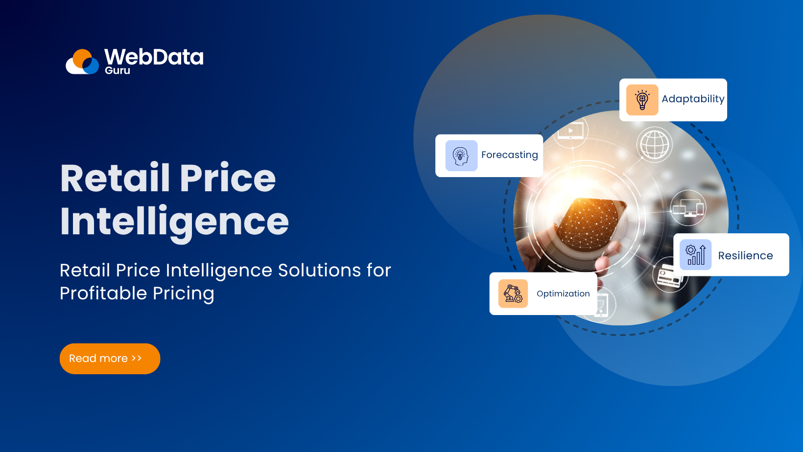 Retail Price Intelligence Solutions for Profitable Pricing