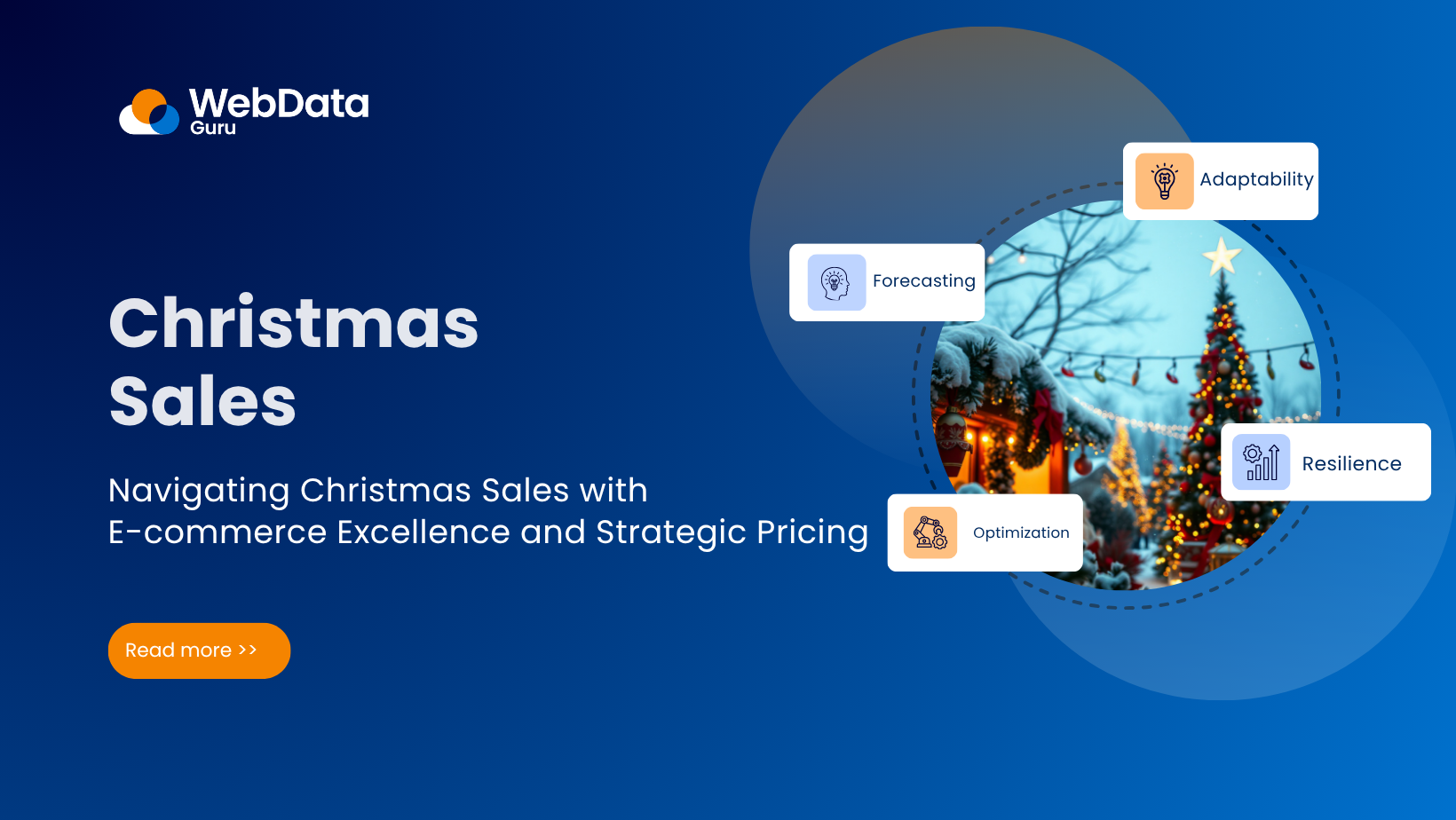 Navigating Christmas Sales with E-commerce Excellence and Strategic Pricing