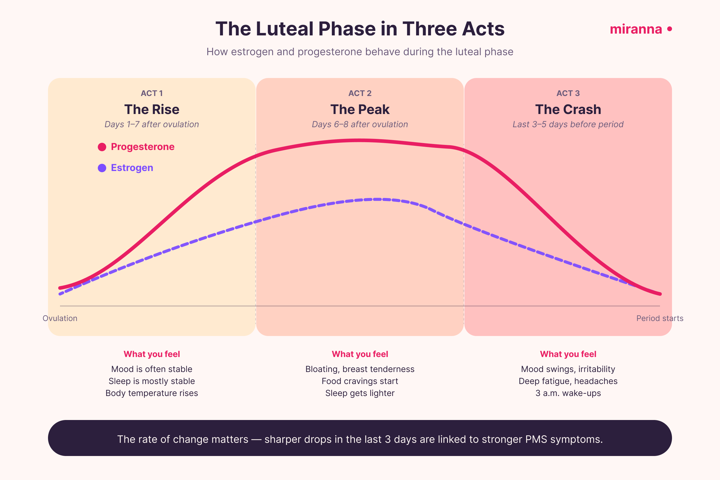 Bright infographic showing the three acts of the luteal phase — progesterone rises, peaks around days 6 to 8 after ovulation, then crashes in the last 3 to 5 days before the period, with estrogen following a similar but smaller pattern