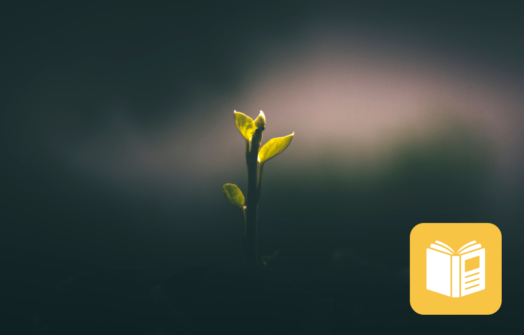 Best Growth Mindset Books