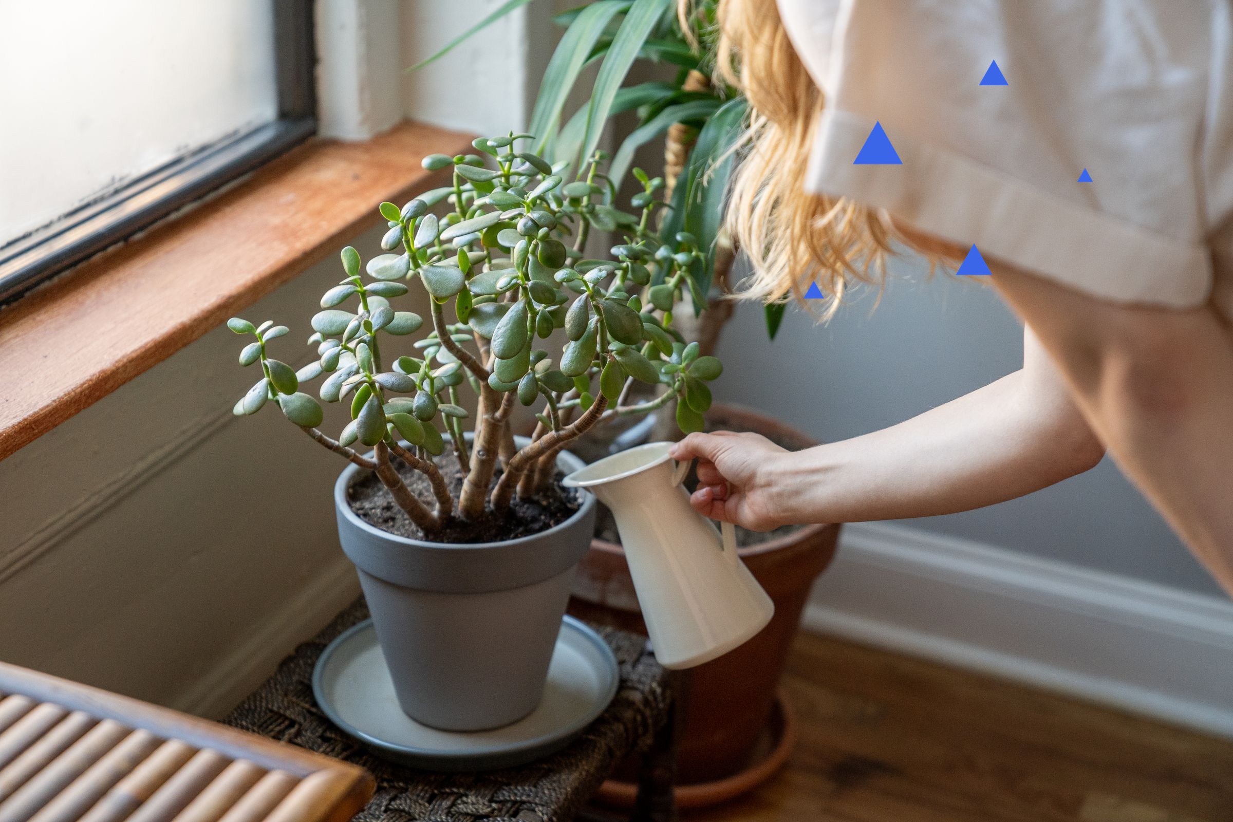 How to Build a Habit That Survives a Real Week