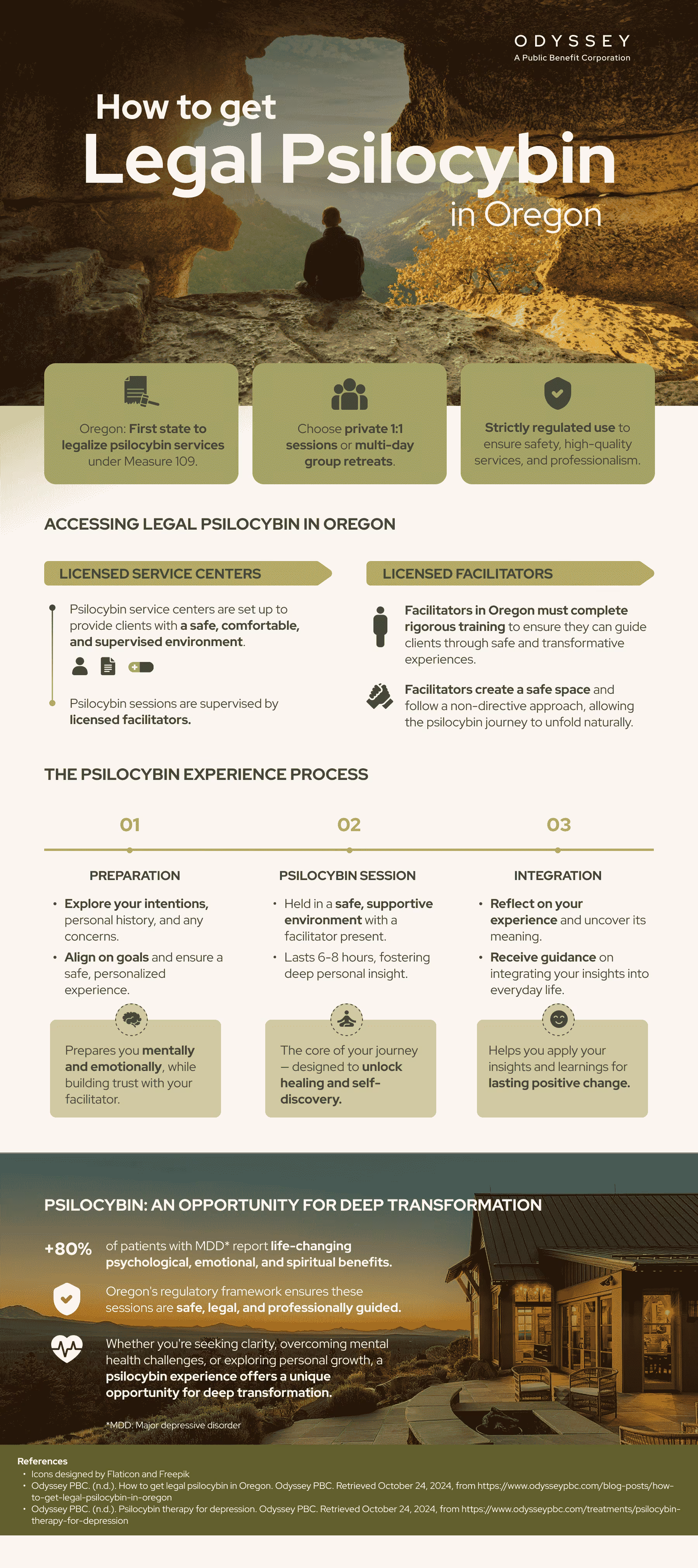 Infographic with the basic information you need to know to have a psychedelic retreat in Oregon and it's mental benefits