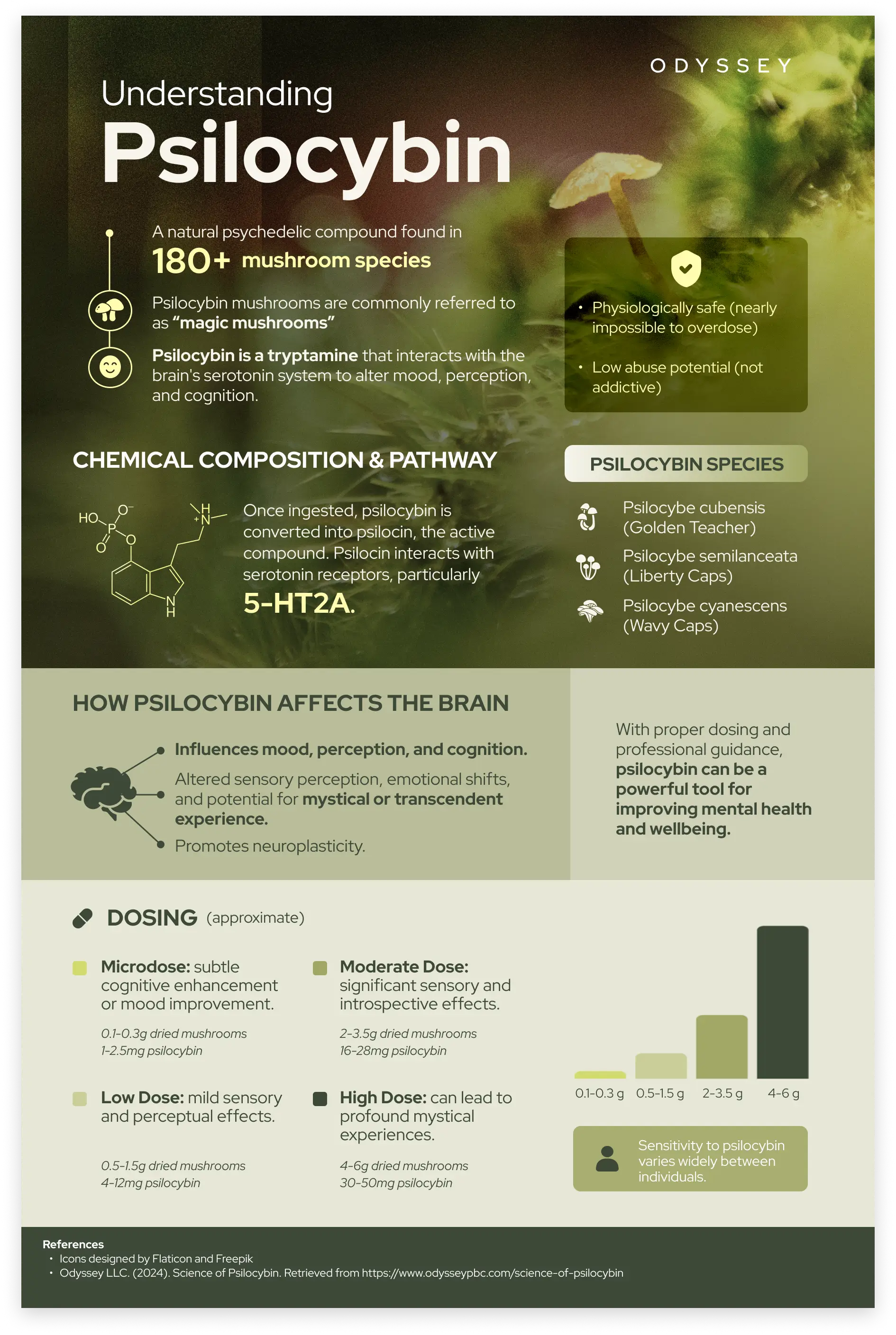 Psilocybin mushroom science infographic with forest green aesthetic design displaying molecular composition, dosage chart, and brain effects. Includes safety profile and species identification guide