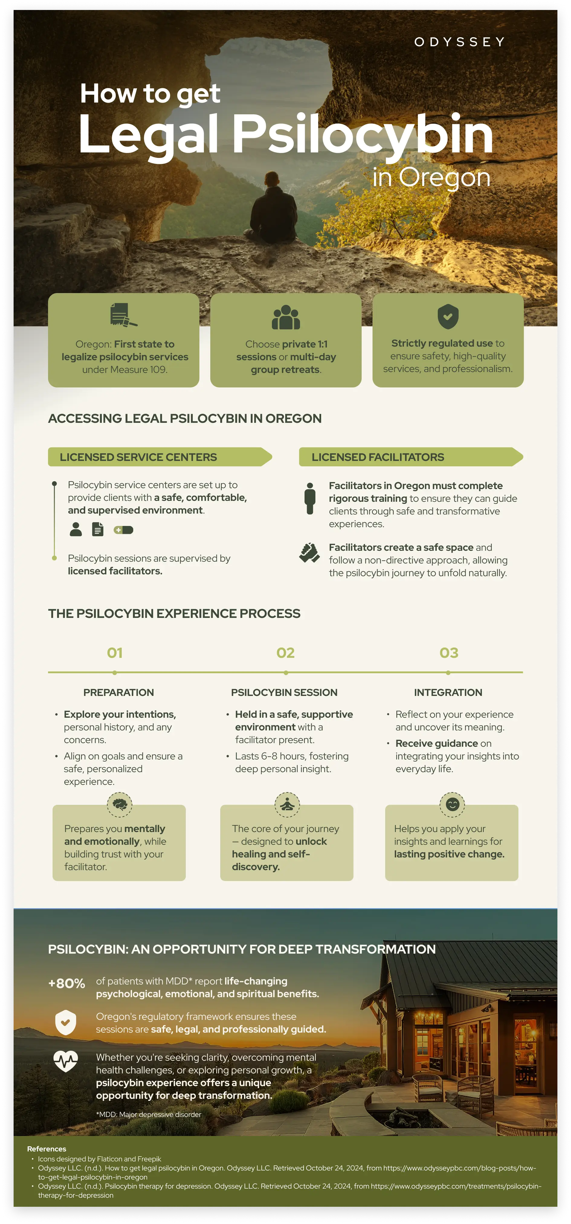 Infographic with the basic information you need to know to have a psychedelic retreat in Oregon and it's mental benefits