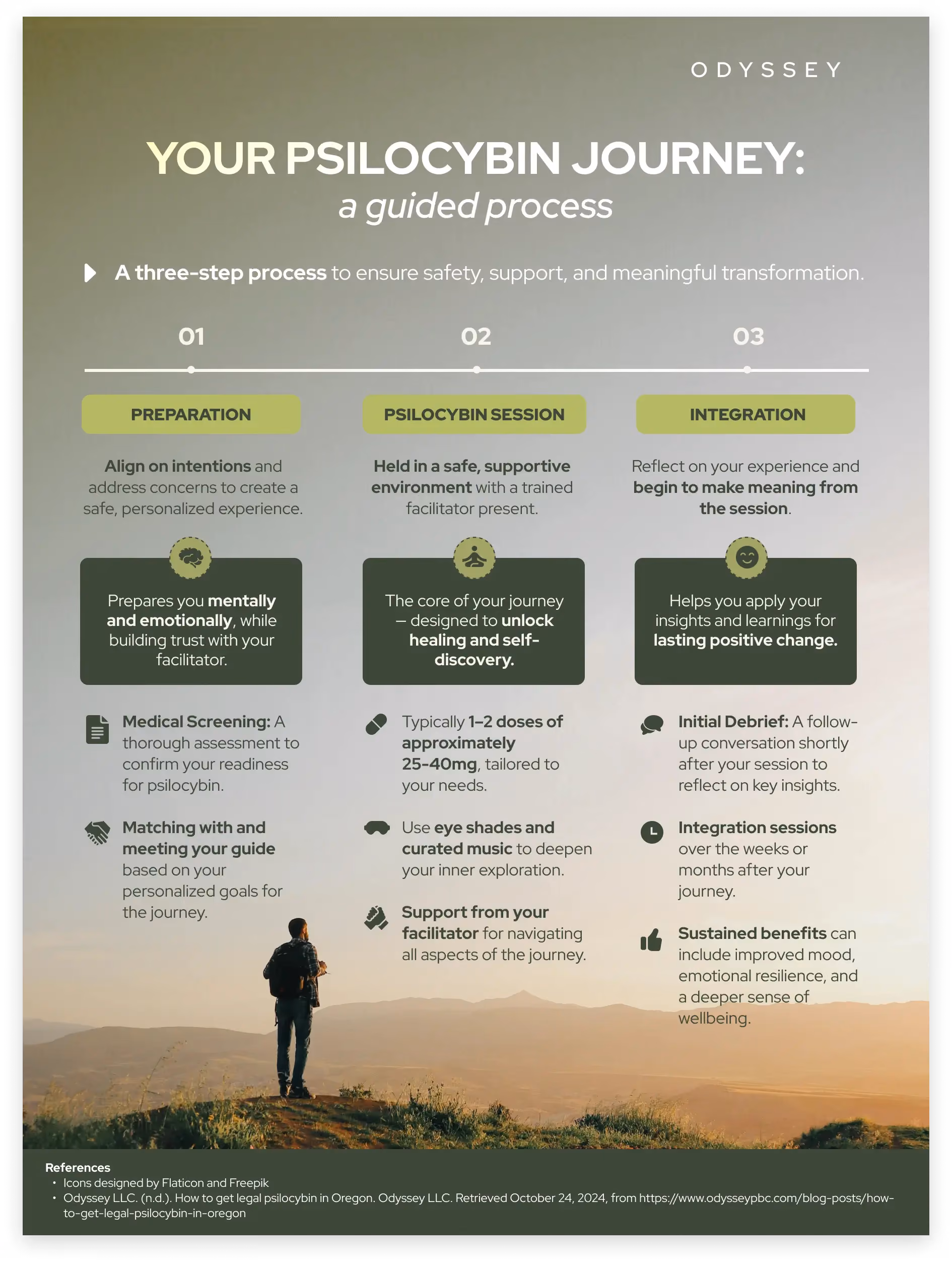 Guided psilocybin treatment infographic on serene landscape background illustrating medical screening, therapeutic session protocols, and integration benefits. Features three-phase healing journey