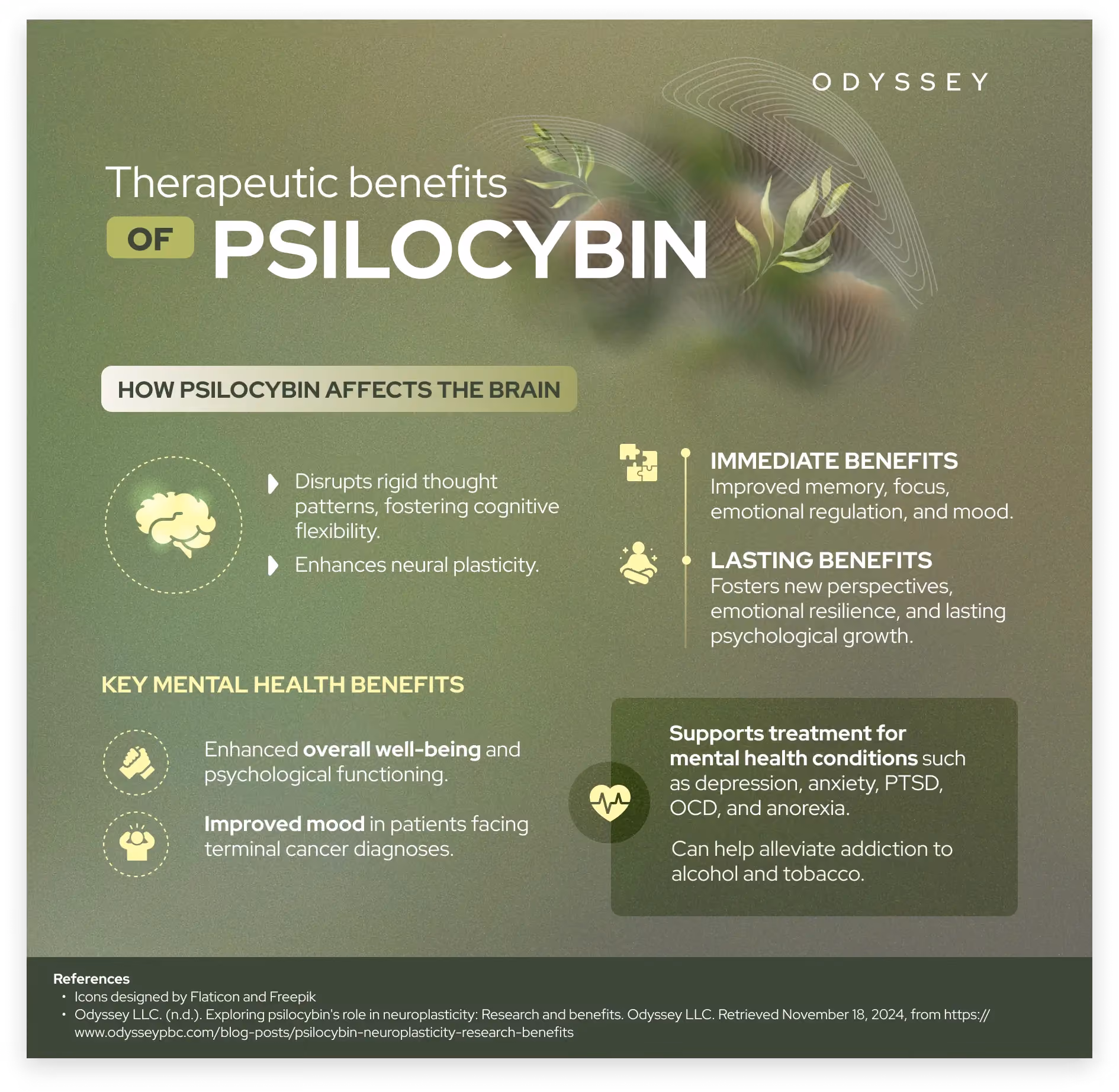 Therapeutic Benefits of Psilocybin infographic with sage green gradient design highlighting brain effects, mental health applications, and neuroplasticity. Features immediate and lasting benefits for depression, anxiety, and PTSD