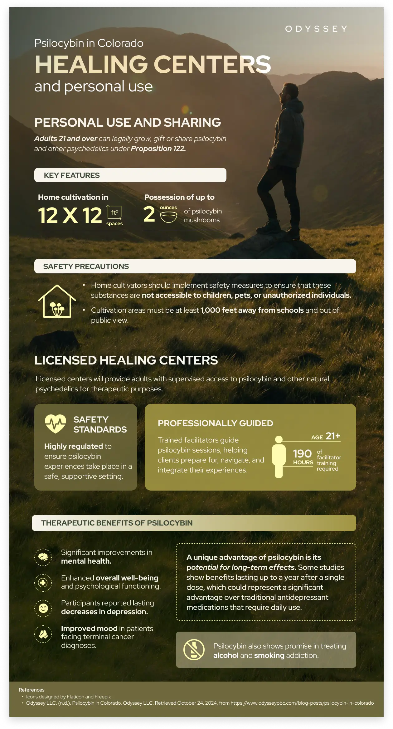 Brown and green infographic that describes the psilocybin use in healing centers and personal use