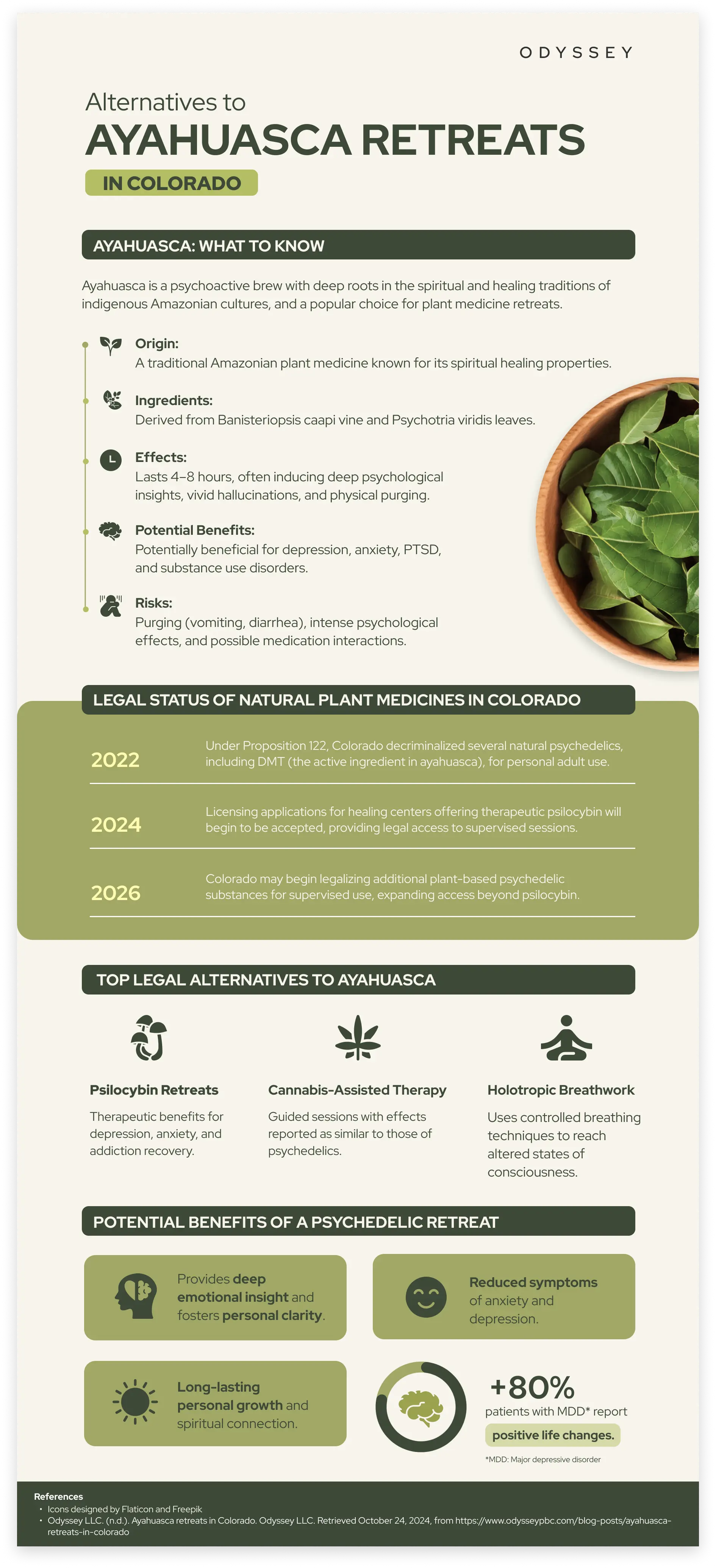 Infographic that shows an analysis of different alternatives for ayahuasca retreats in Colorado and their benefits