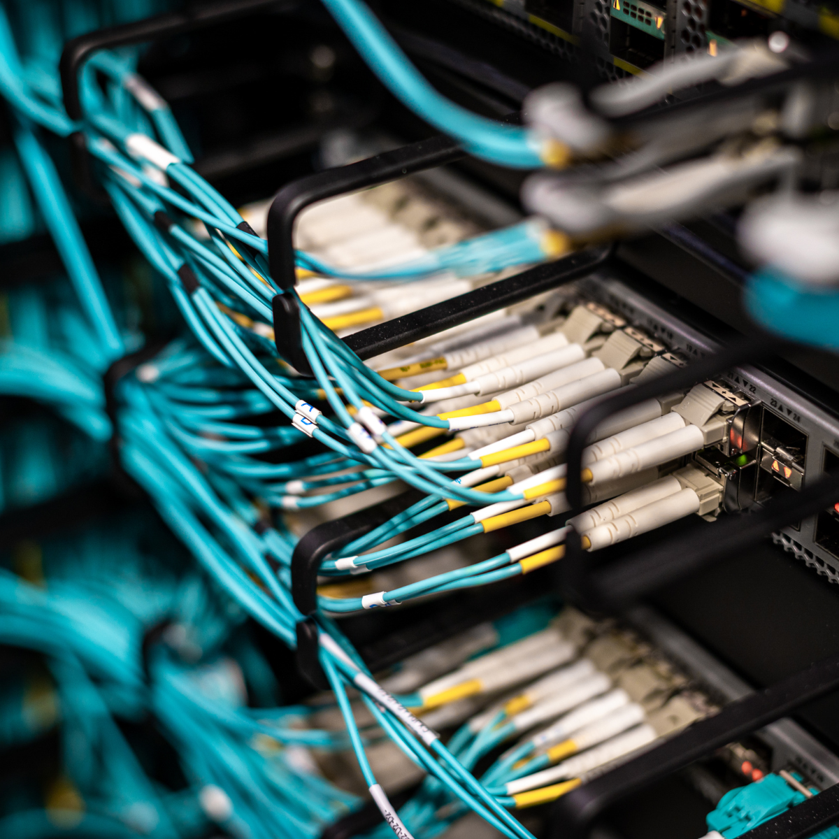 Network Visibility