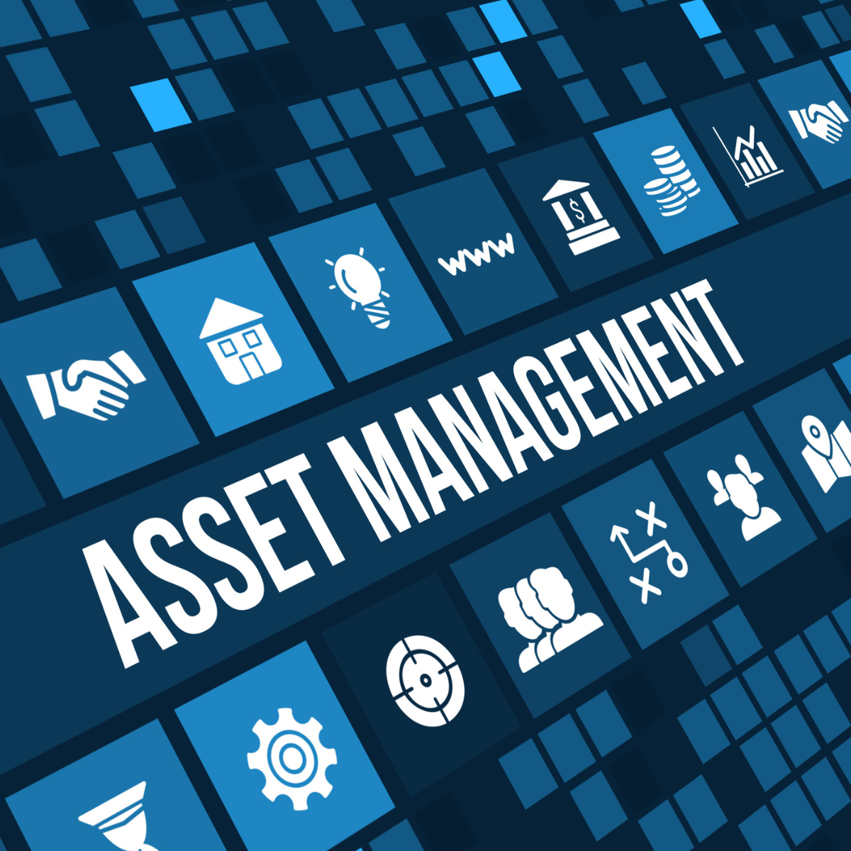 asset management