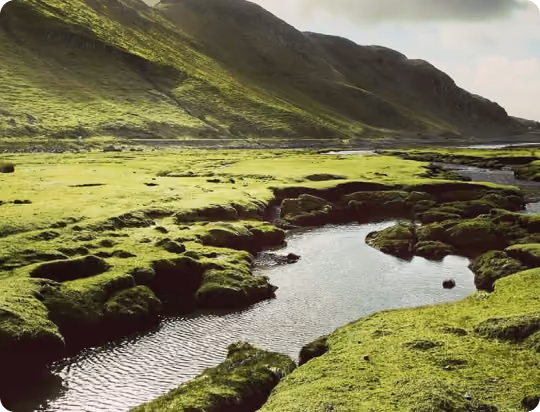 A serene landscape featuring a narrow river winding through vibrant green moss-covered terrain with a mountain in the background under a cloudy sky.