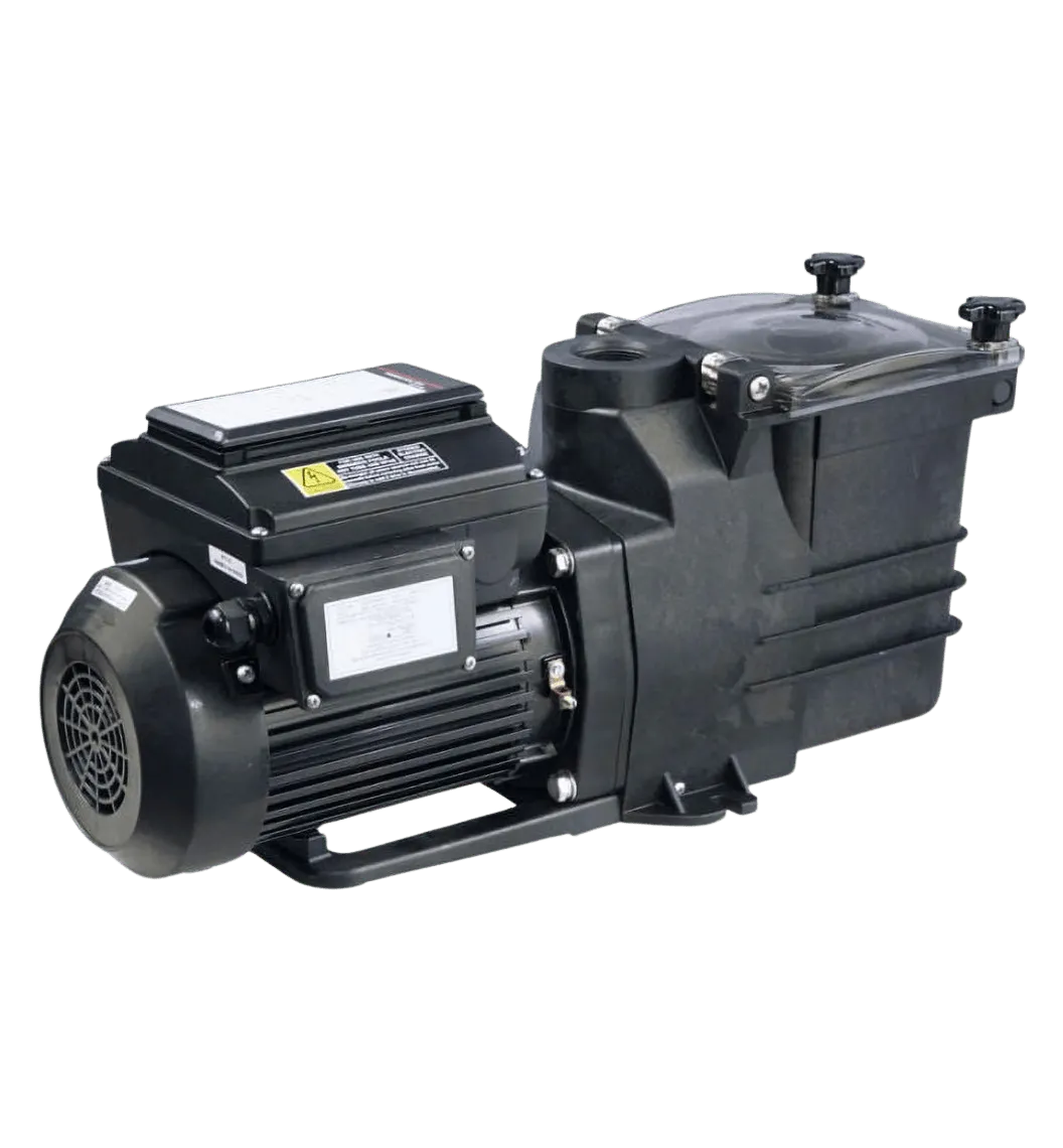 Variable Speed Pool Pump