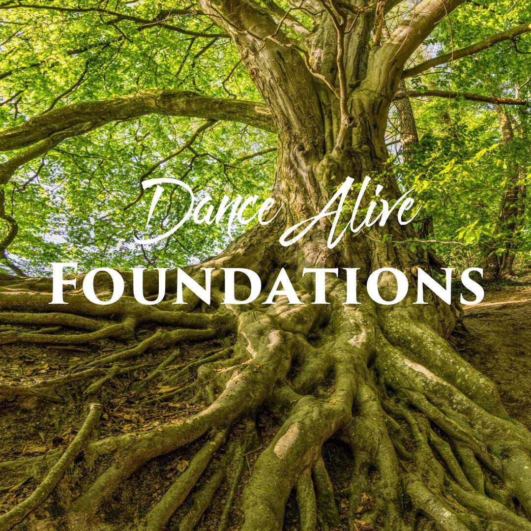 Dance Alive Foundations — tree roots beneath a large tree