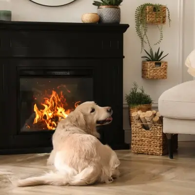 Maintained fireplace creating a safe and comfortable indoor living space