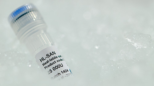 Endonucleases Non-Specific