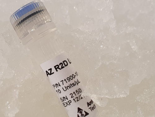 ArcticZymes R2D Ligaseᵀᴹ