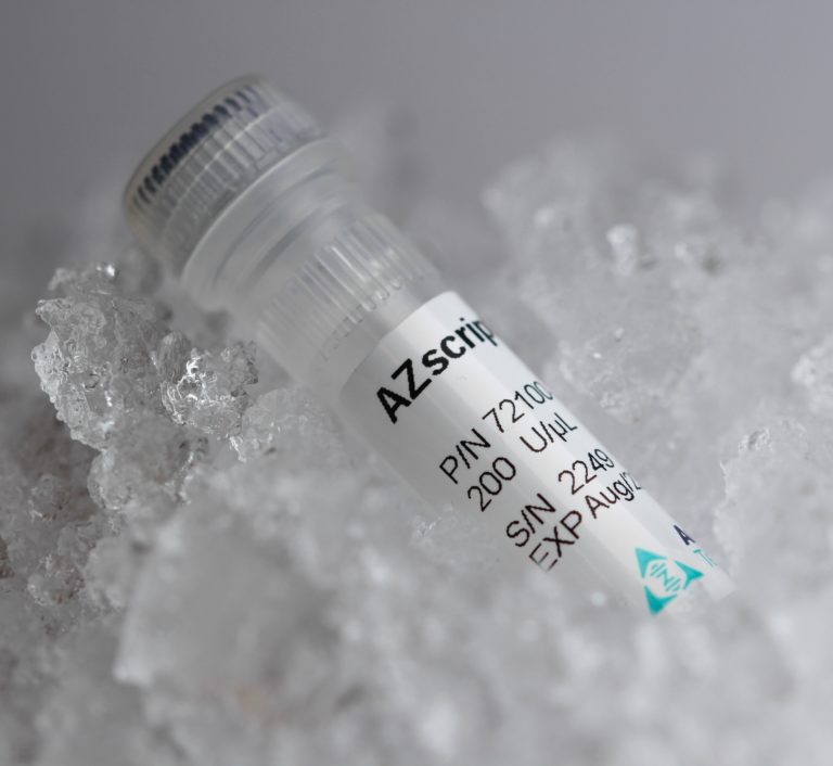 AZscriptᵀᴹ Reverse Transcriptase