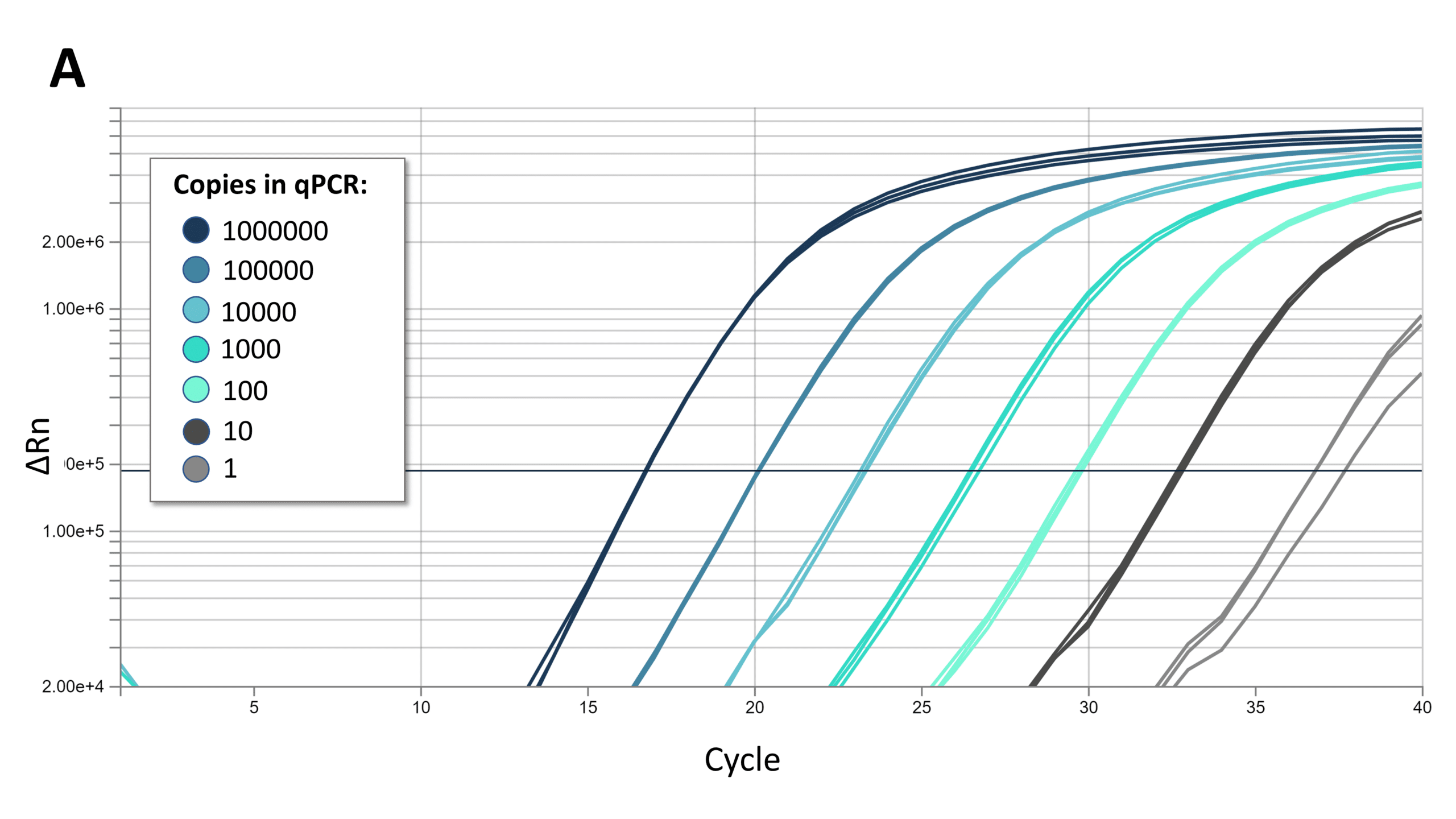 AZtaq DNA Polymerase - Figure 1