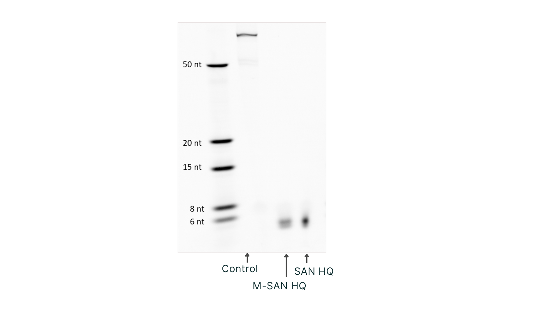 Bioprocessing with Salt Active Nucleases - High Salt Conditions - Figure 5