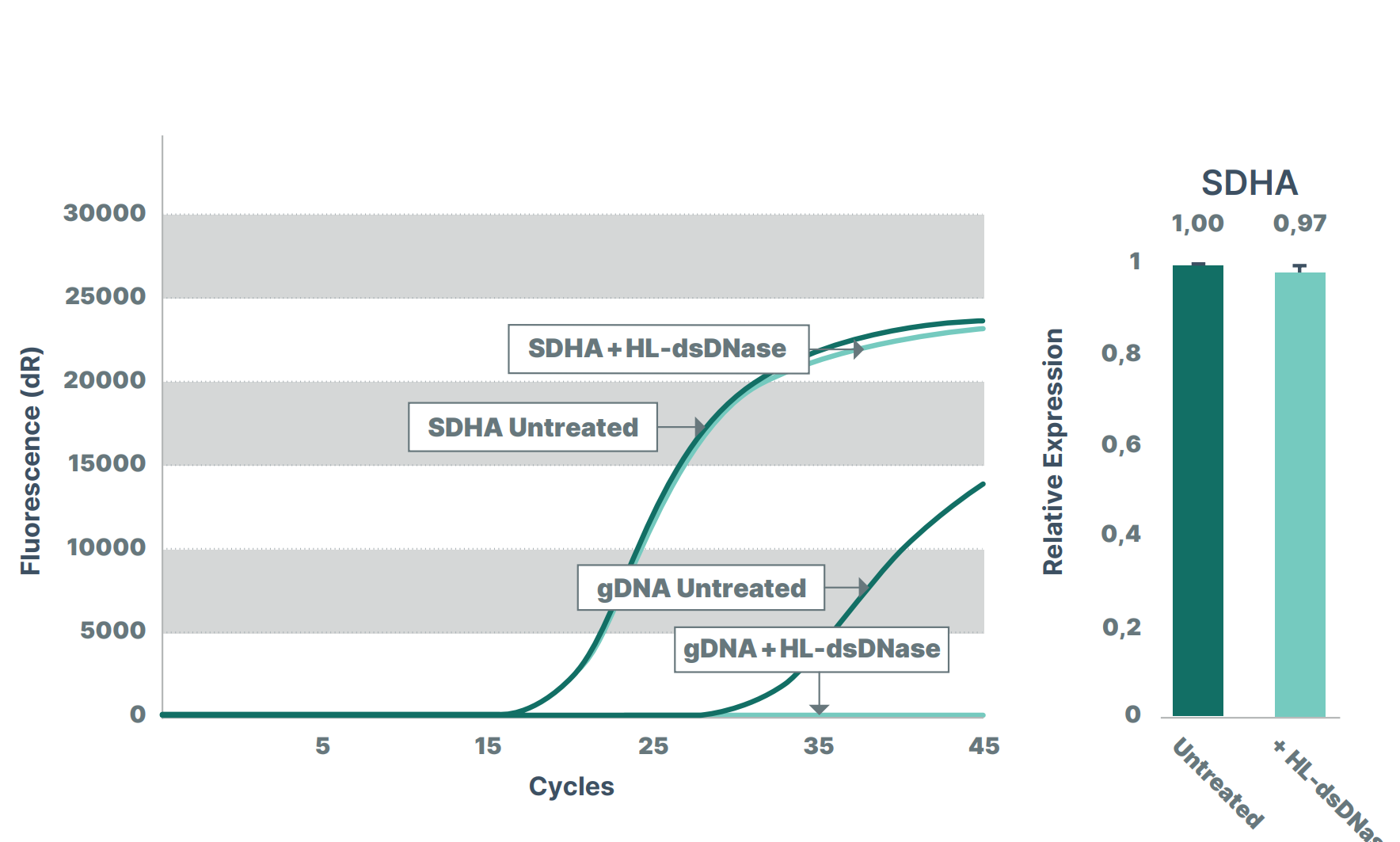 Endonucleases DNA-specific - Figure 3