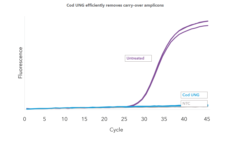 PCR carry-over prevention figure 2