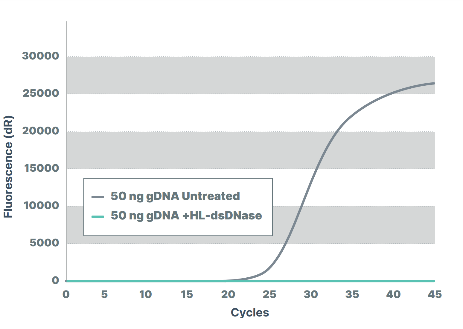 Endonucleases DNA-specific-dsDNase - Figure 2
