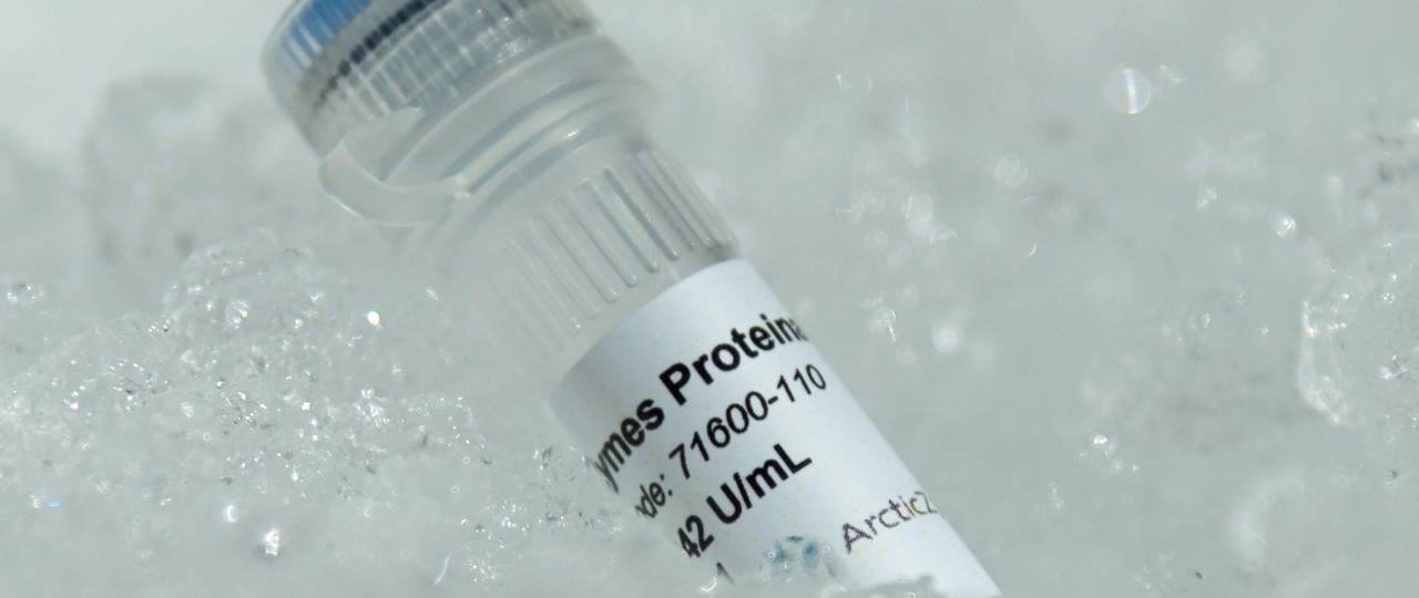 ArcticZymes Proteinase