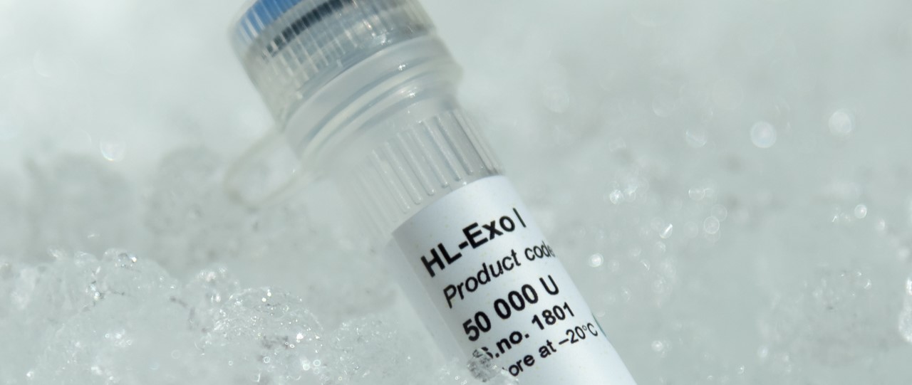 Heat Labile Exonuclease I