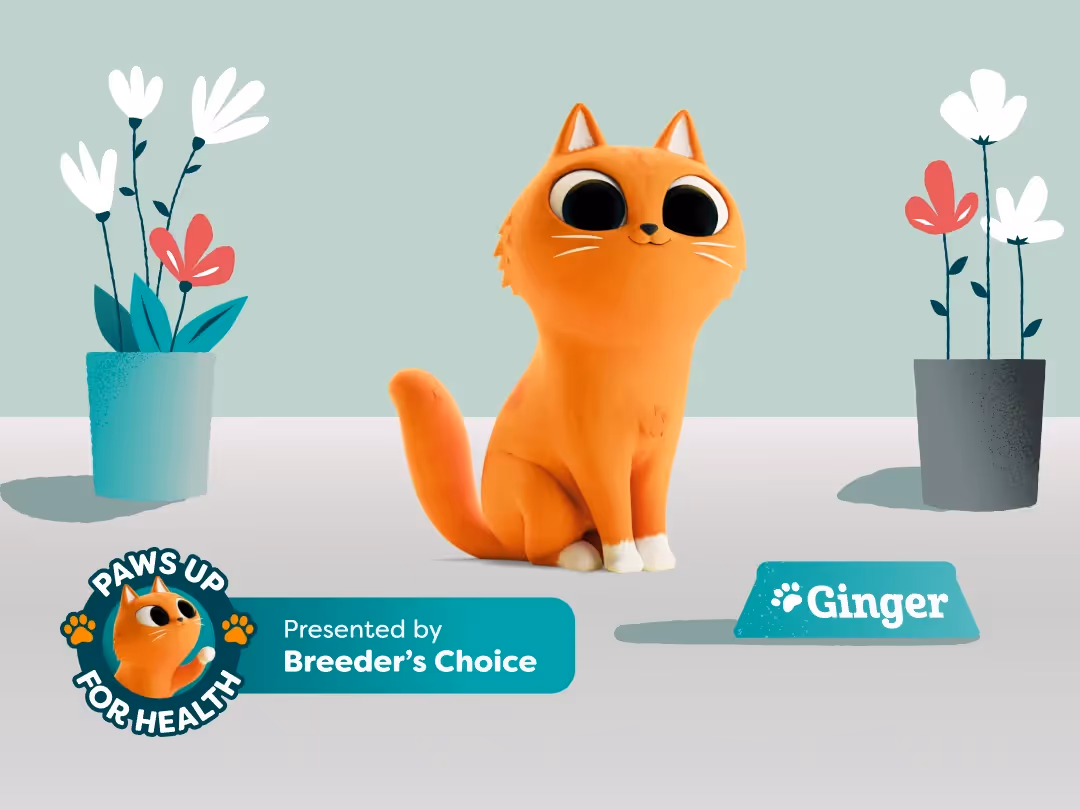 Hydration Matters: 5 Simple Steps for a Healthier, Happier Cat