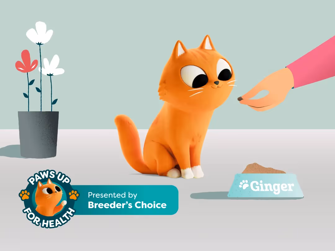 Nutrition Matters: 5 Essential Tips for a Healthier Cat