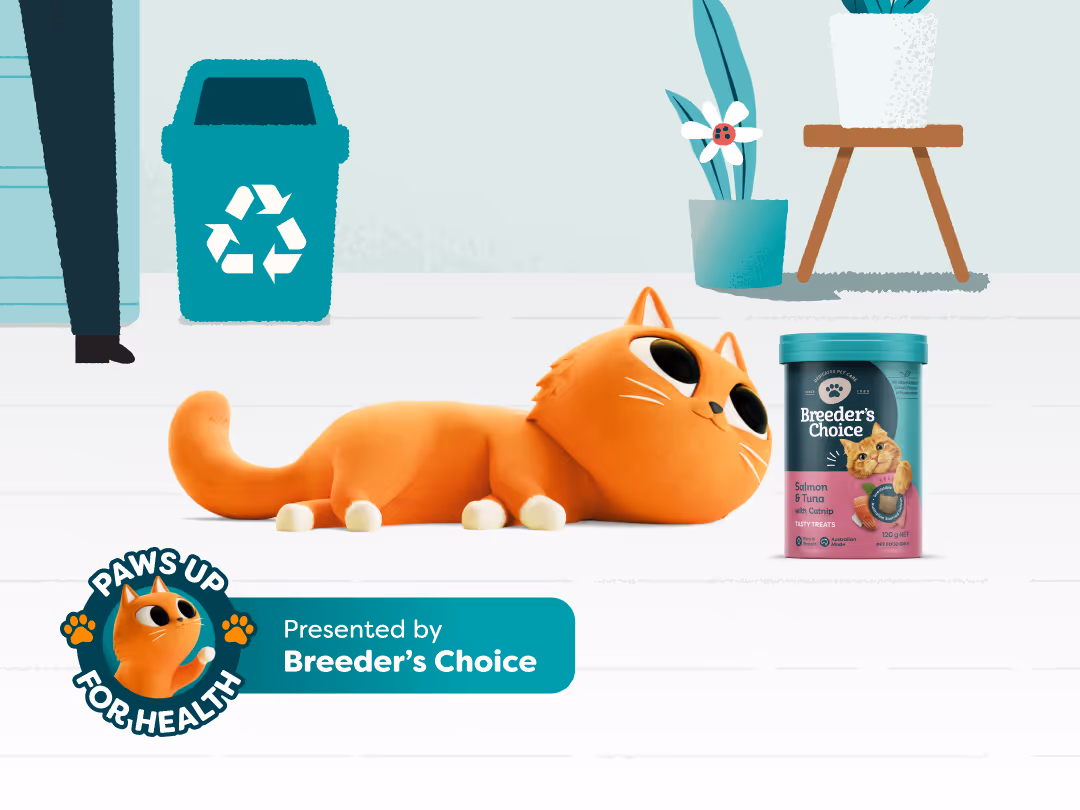 Balance Matters: How to Treat Your Cat Responsibly