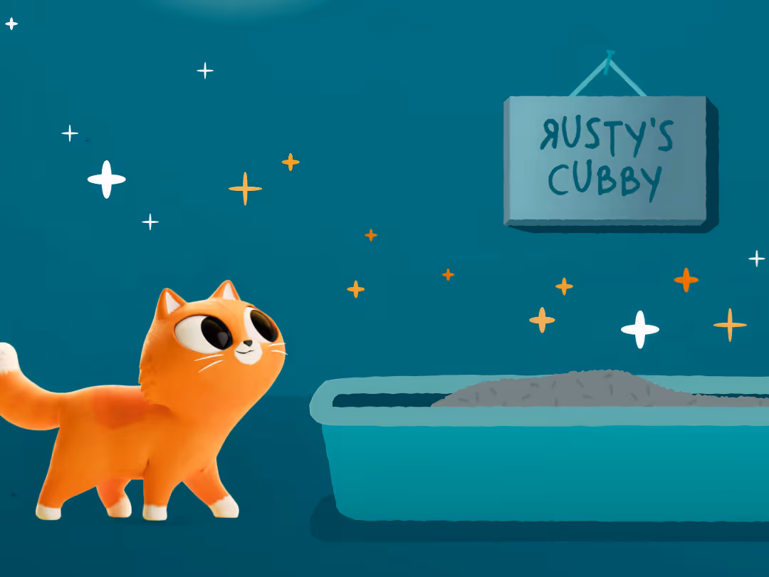 How to care for and litter-train kittens