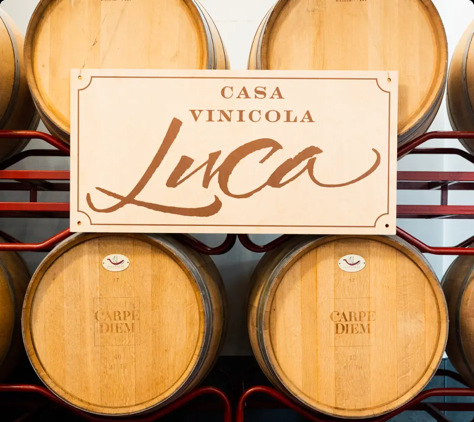 Oak barrels at Casa Vinicola Luca