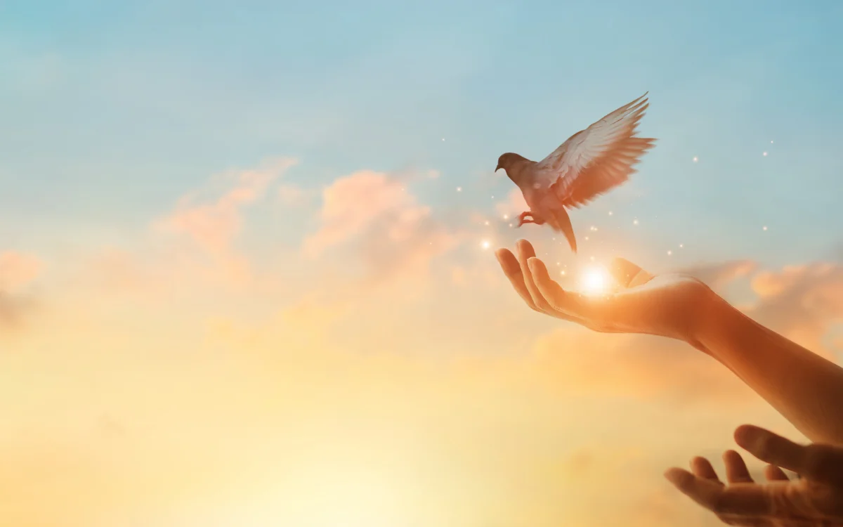 Forgive to Give: A Path to Inner Healing and Peace