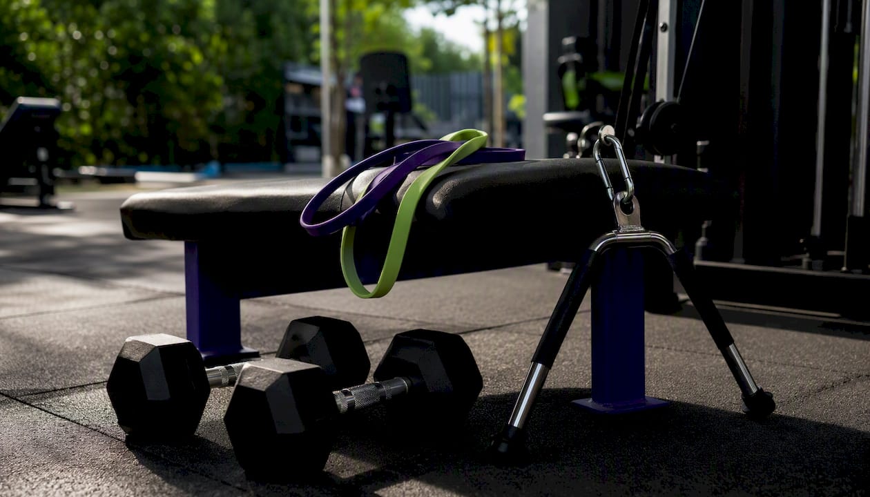 Close-up of gym back training equipment
