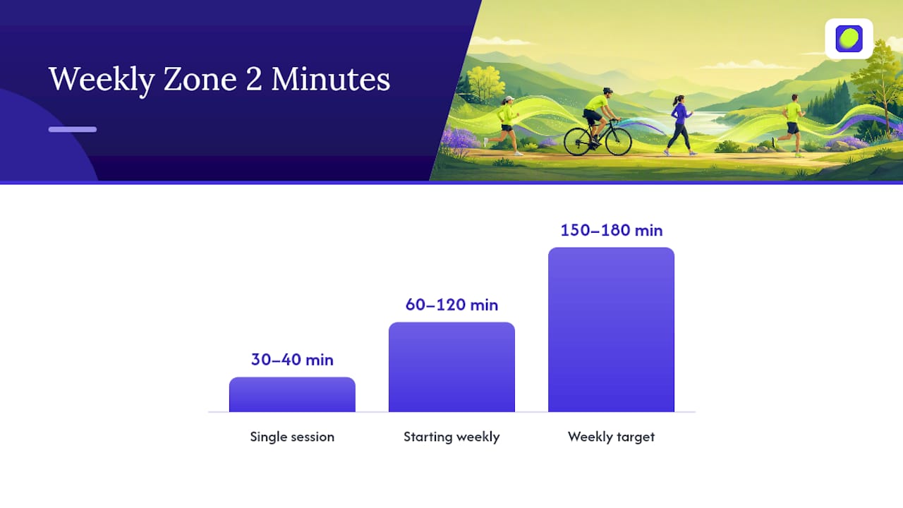 Key metrics and guidance infographic for Zone 2 cardio