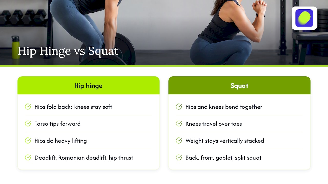 What Actually Separates a Hip Hinge From a Squat — overview diagram